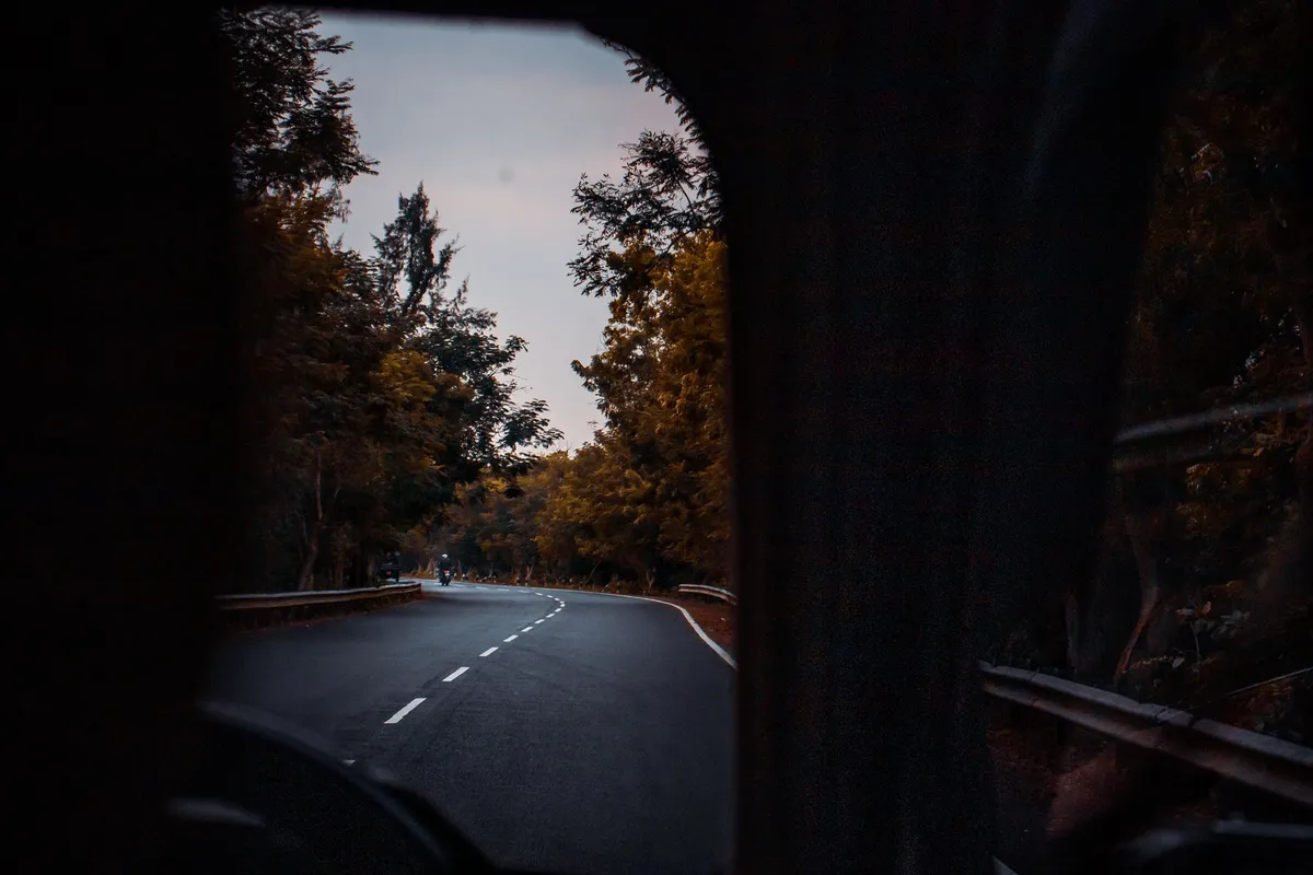 Blick aus dem Fahrerhaus auf eine kurvige Landstraße zwischen Bäumen in der Abenddämmerung